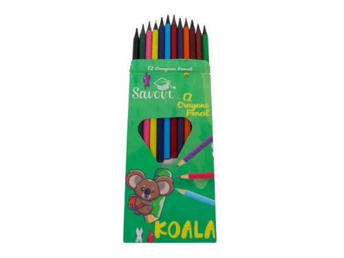 CRAYONS COULEUR 12 LONG KOALA SAVOIR