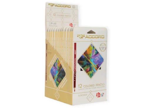 12 CRAYONS DE COULEUR LONG SELFIE 360