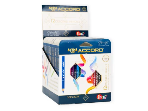 12 CRAYONS DE COULEUR COURT DUO SELFIE 360