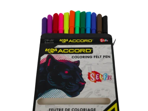 12 FEUTRES DE COLORIAGE SELFIE JAGUAR ACCORD