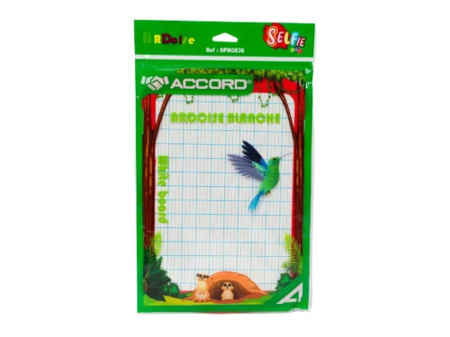 ARDOISE BLANCHE ACCORD